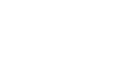 Windsor International Film Festival